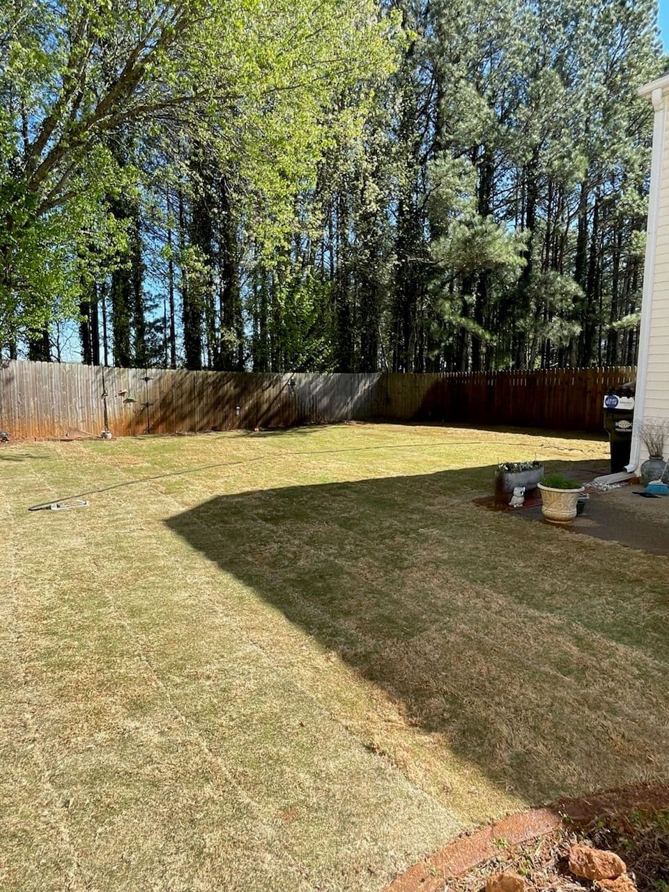 Revitalizing Landscapes with Bermuda Sod Installation image
